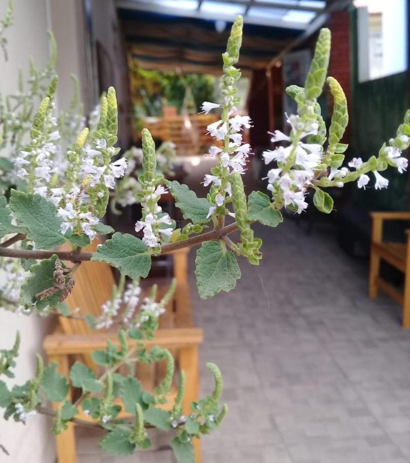 Hostel Nossa Casa Florianópolis Eksteriør bilde