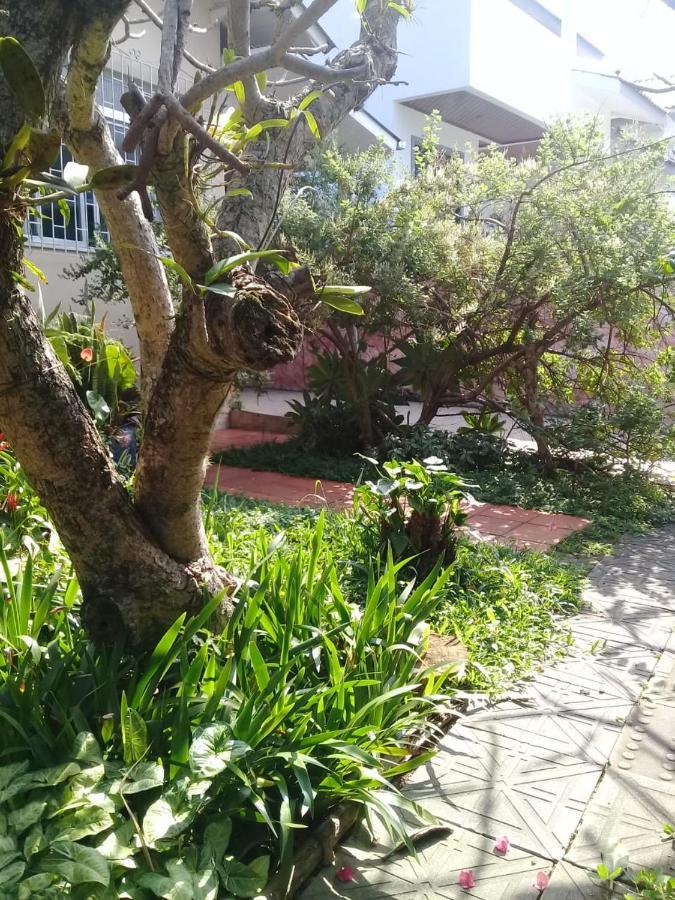 Hostel Nossa Casa Florianópolis Eksteriør bilde